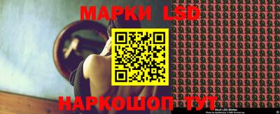 ешки Майкоп