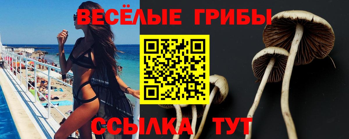 дарнет шоп  Вход с VPN  Касимов  Псилоцибиновые грибы ЛСД 